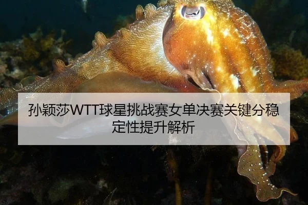 孙颖莎WTT球星挑战赛女单决赛关键分稳定性提升解析