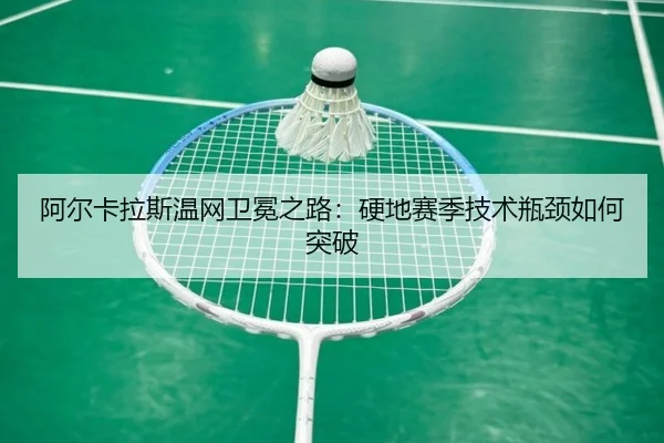a-er-ka-la-si-wen-wang-wei-mian-zhi-lu-ying-di-sai-ji-ji-shu-ping-jing-ru-he-tu-po-3-655.jpg
